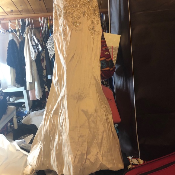 Fancy dress - Picture 2 of 4